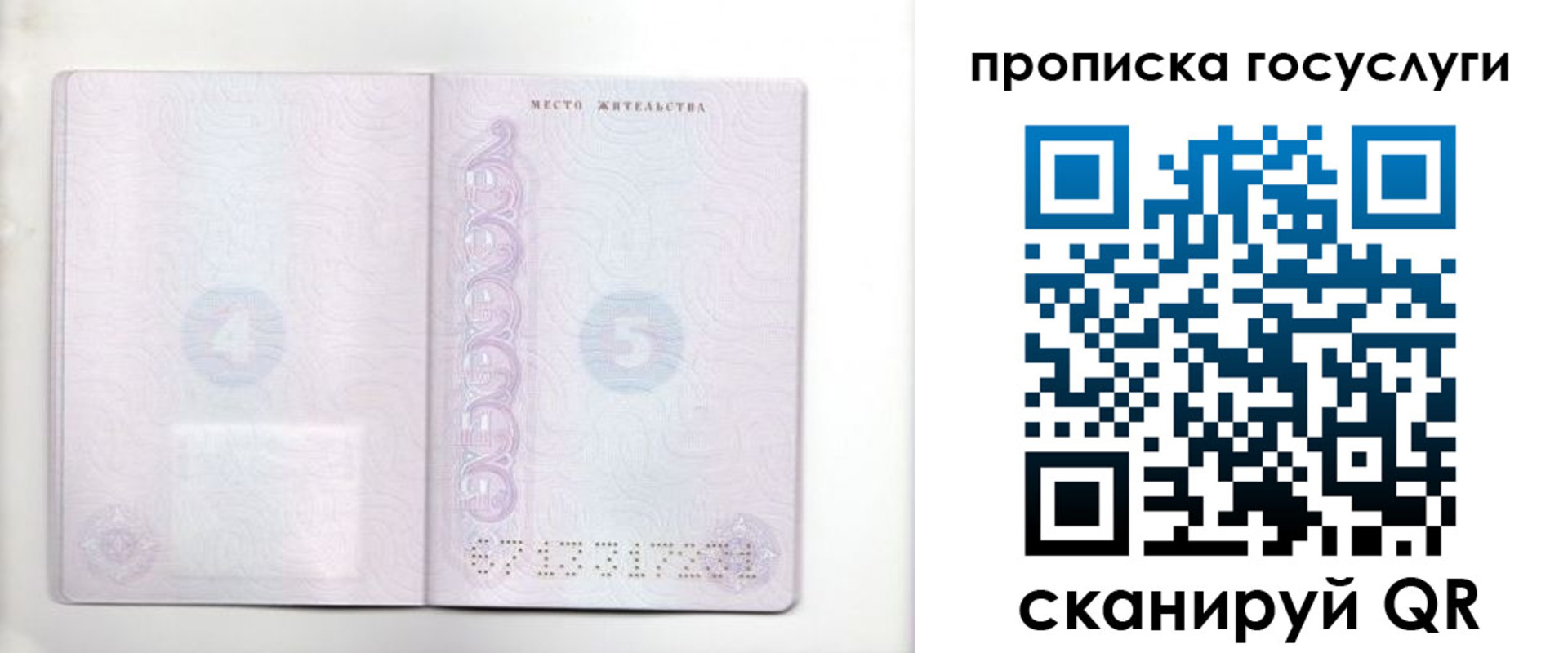 временная регистрация для всех в Калининградской области
